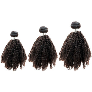 Mane Goals Afro Kinky Bundle Deals